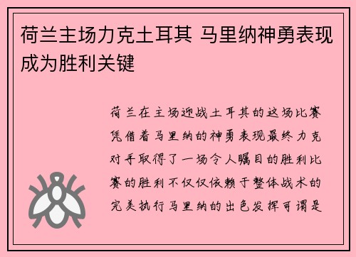 荷兰主场力克土耳其 马里纳神勇表现成为胜利关键
